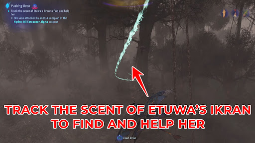 Track the scent trail to find Etuwa