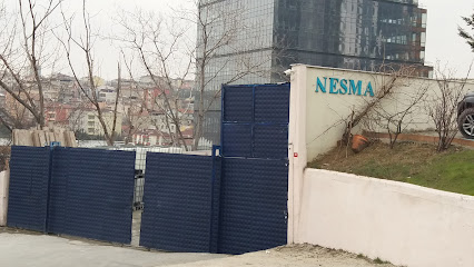 NESMA BOYA