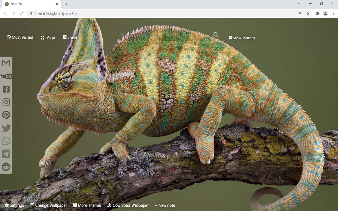 Chameleon Wallpaper HD New Tab Preview image 2