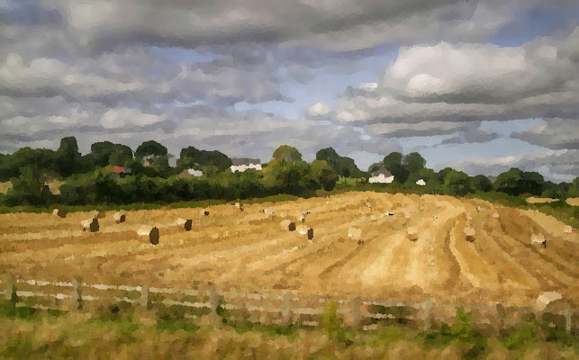 terre d'irlanda di mazzarolo