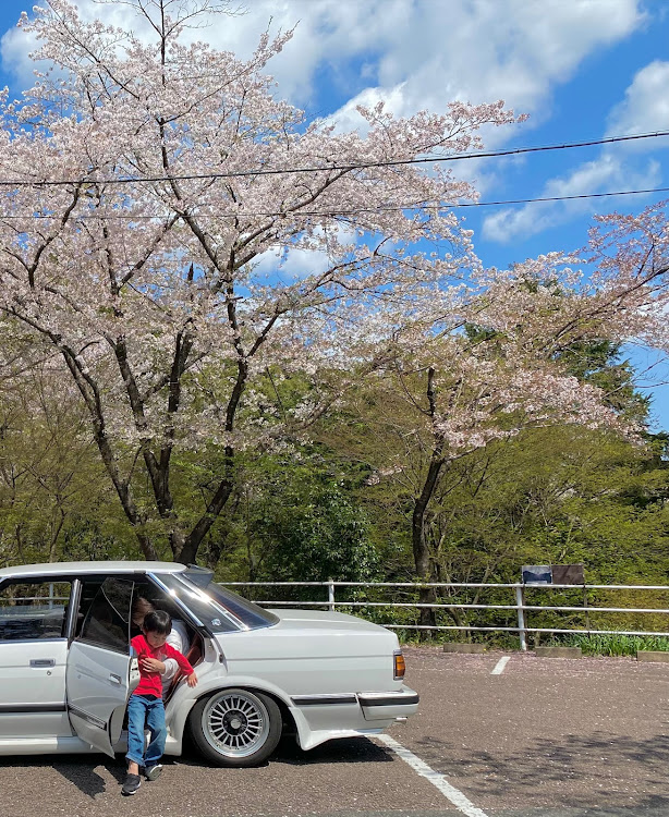 の投稿画像5枚目