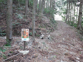 船着山登山口（中央の斜面）