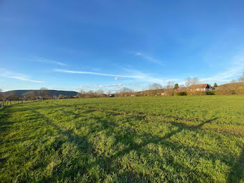 terrain à Corcieux (88)