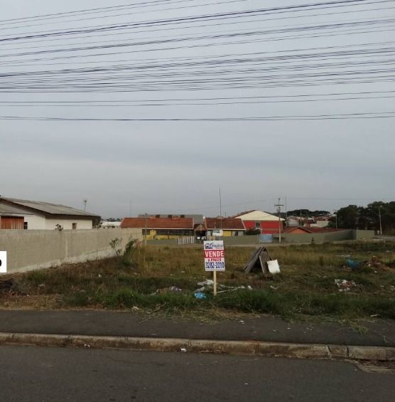 Fazenda Rio Grande lotes a longo prazo