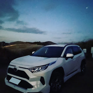 RAV4 MXAA54