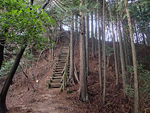 県境稜線へ木の階段を登る