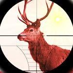 Deer Expert Hunter 2015 Apk