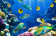 Underwater Ocean Wallpaper for New Tab small promo image