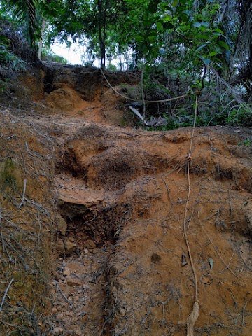 Bukit Botak Puncak Alam