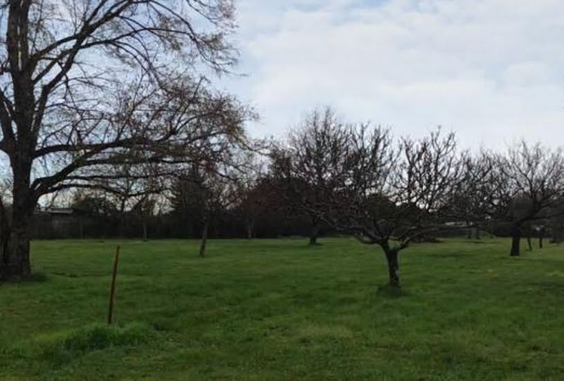  Vente Terrain à bâtir - à Porchères (33660) 