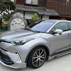 C-HR ZYX10