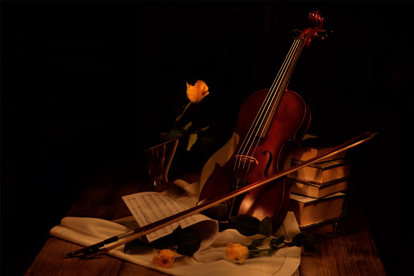 Violino light painting di 7roses