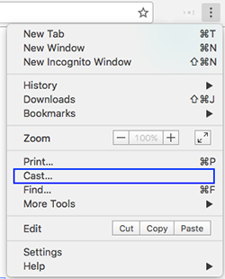 Cast в паармтерах браузера Гугл Хром