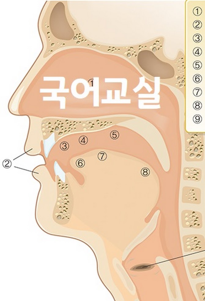 국어교실(1).jpg