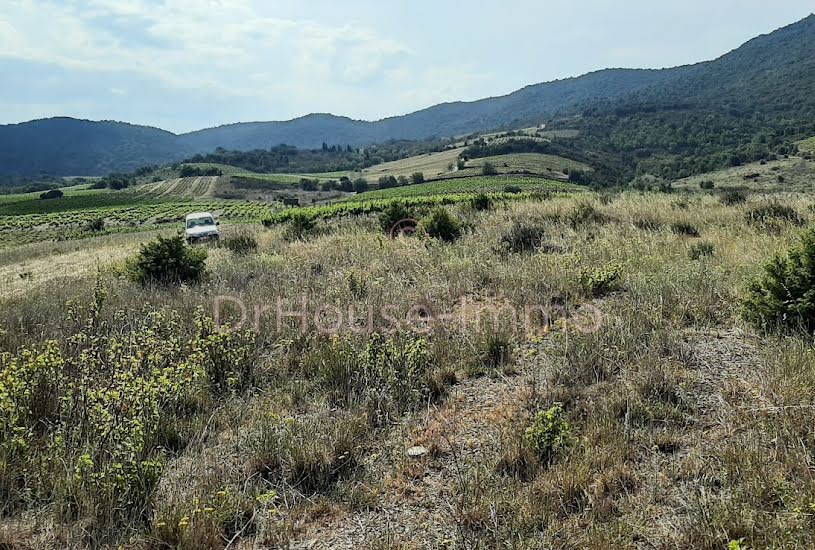  Vente Terrain agricole - 7 475m² à Montner (66720) 