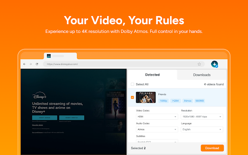 StreamFab Disney Plus Downloader screenshot 3