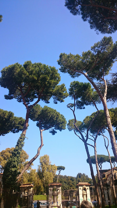 Бельгия-Италия и кусочек Франции. Евротур с бабулей - 2015