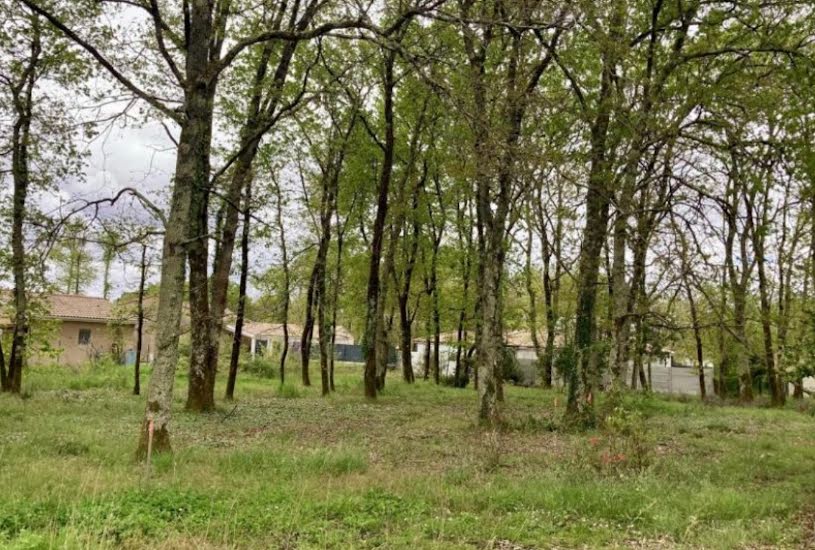  Vente Terrain à bâtir - 1 165m² à Saint-Médard-en-Jalles (33160) 