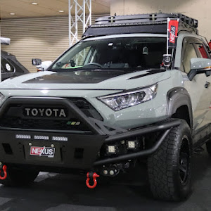 RAV4 MXAA54