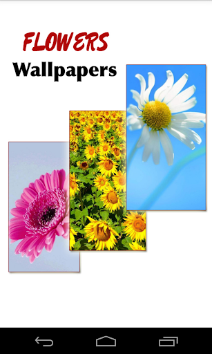 Flower Wallpapers