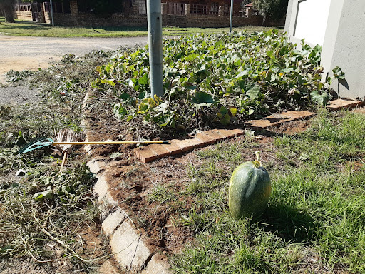 In March 2021, Joe Nkuna said he donated 35 massive pumpkins and 145kg of sweet potatoes from his garden.