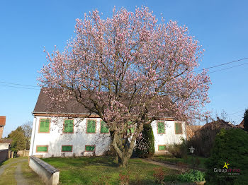 appartement à Barr (67)