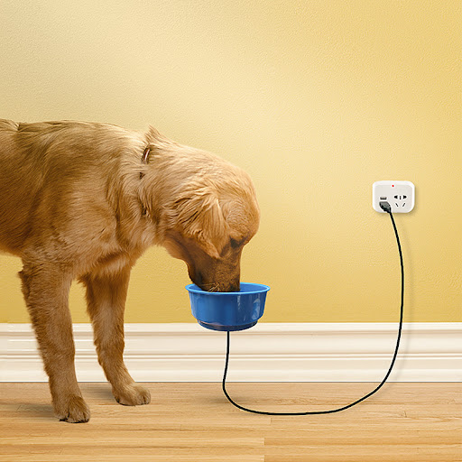 Title 4, Temperature and Heat Preservation Water Bowl. K...