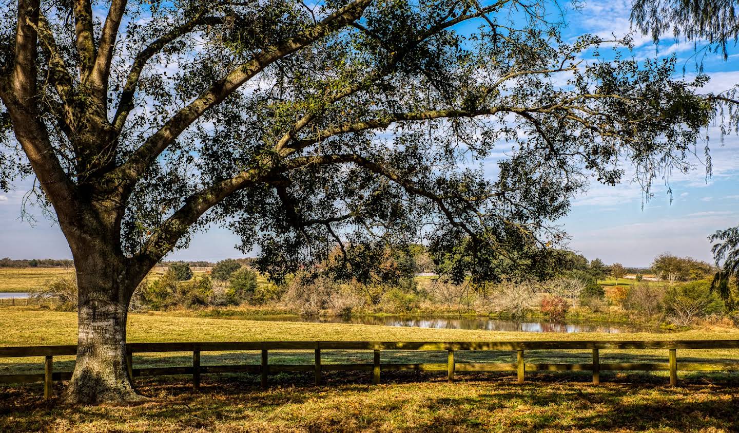 Land Chappell Hill