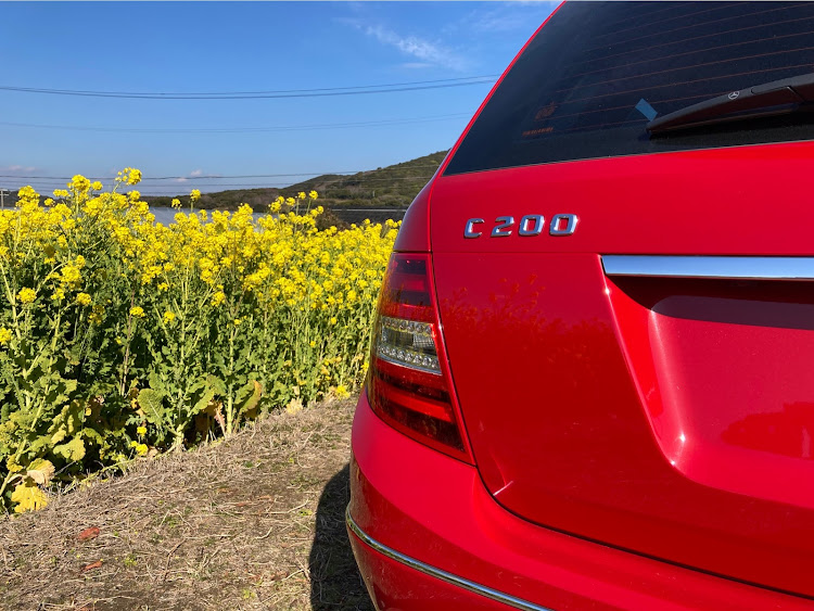 Cクラス ステーションワゴンのメルセデスベンツCクラス・S204後期・ドライブ・菜の花祭り・良い天気に関するカスタム事例の投稿画像2枚目