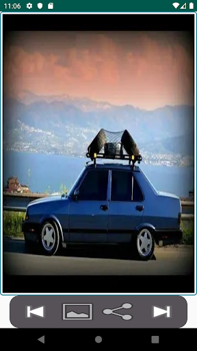 Modifiyeli Şahin ve Doğan