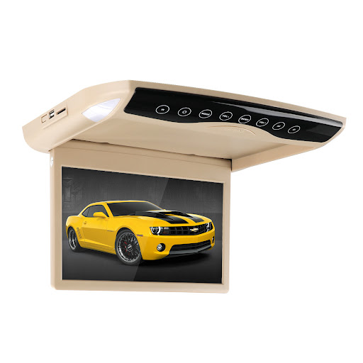 Title 9, Car Mounted High Definition Ceiling Display Enj...