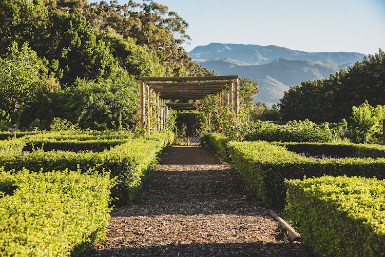 Gardens at Boschendal Farm Estate.