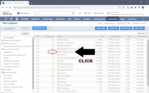 NetSuite File Cabinet Permalink