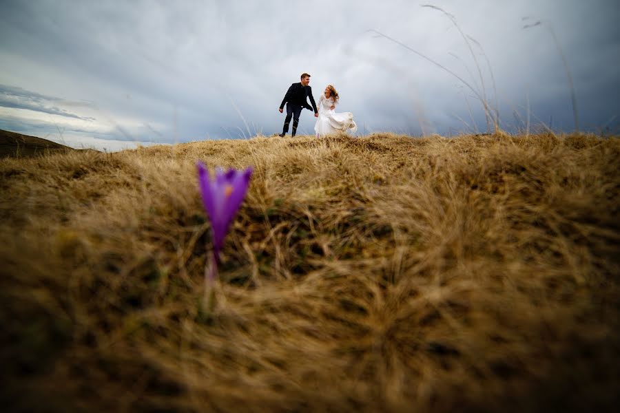 Fotograf ślubny Andrei Enea (andreienea). Zdjęcie z 10 maja 2018