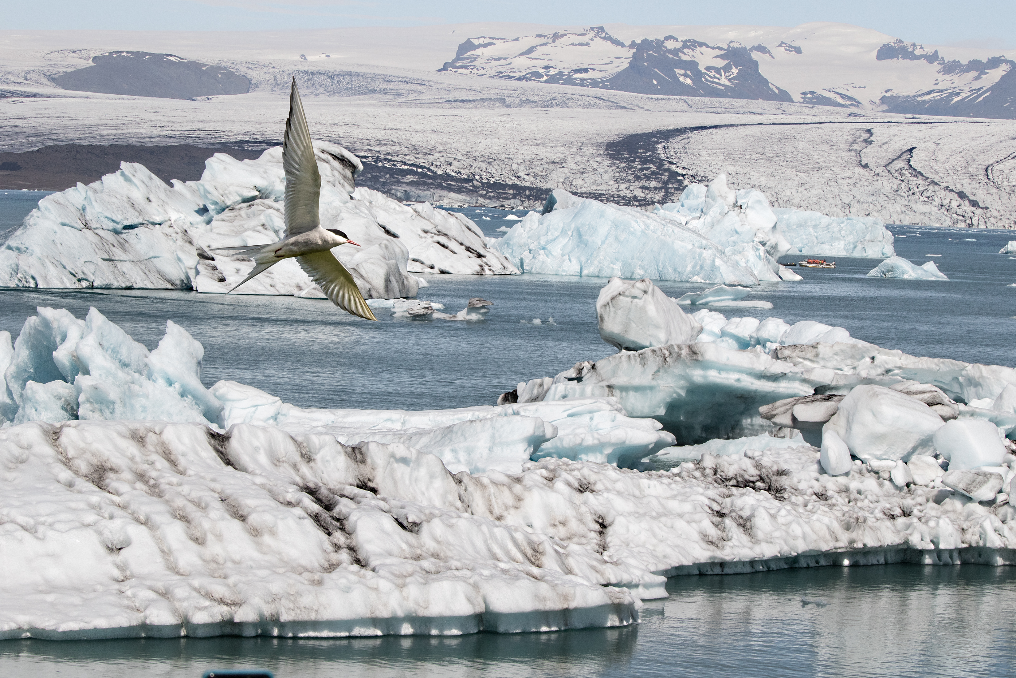 volo su Jokulsarlon di Fabio6018