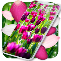 Spring Petals Live Wallpaper ❤️ Flower Wallpapers