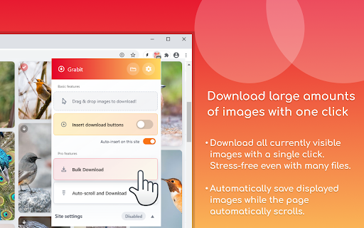 One-click image downloader - Grabit Preview 3