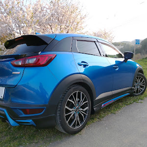 CX-3 DK5FW