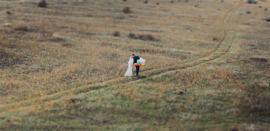 Весільний фотограф Анна Замша (annazamsha). Фотографія від 21 травня 2014