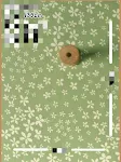 Color13