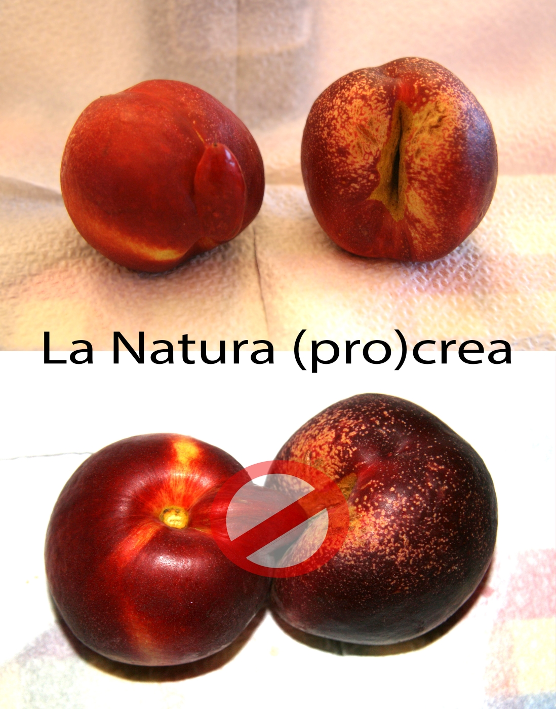 Natura di Zola Lorenzo