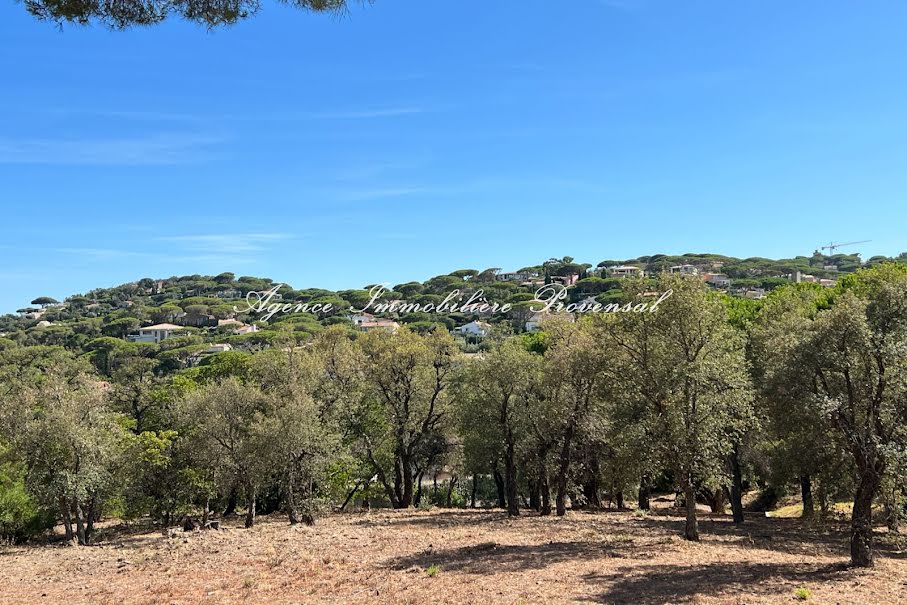 Vente terrain  1610 m² à Sainte-Maxime (83120), 650 000 €