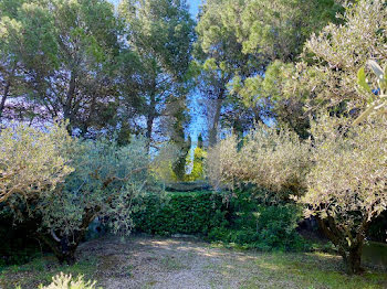 villa à Saint-Rémy-de-Provence (13)