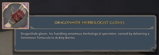 Dragonskin Herbalist's Gloves