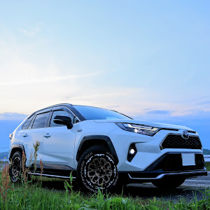 RAV4 AXAP54