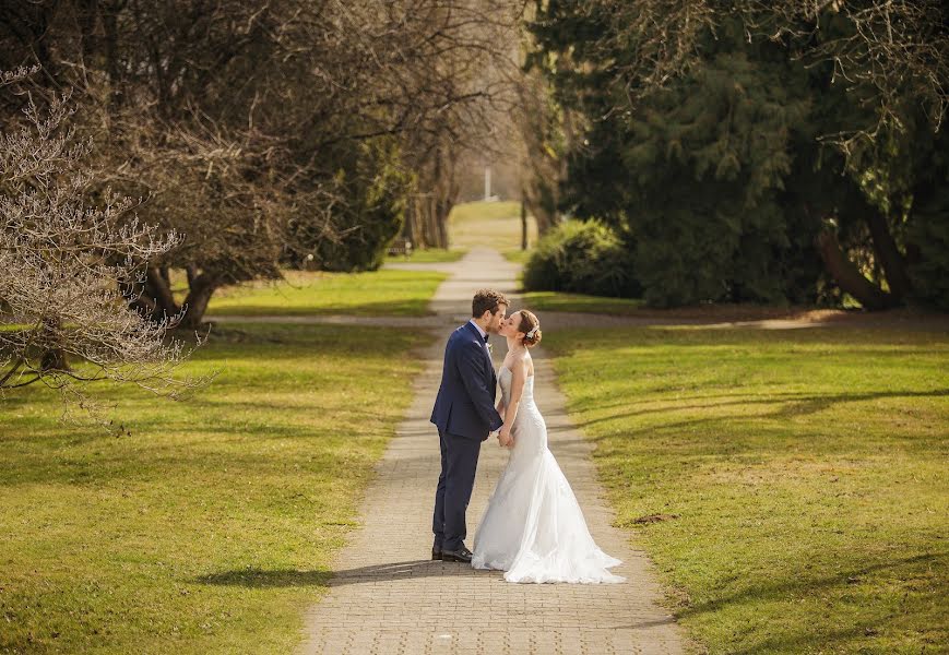 Wedding photographer Evgeniy Ermishin (flashstudio). Photo of 26 November 2017