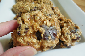 Dark chocolate cranberry pecan oatmeal cookies