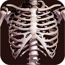 アプリのダウンロード Osseous System in 3D (Anatomy) をインストールする 最新 APK ダウンローダ