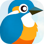 Birdy Bird - Climb To The Top Apk