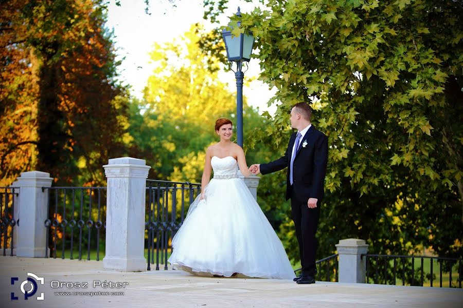 Fotografo di matrimoni Péter Orosz (oroszpeter). Foto del 3 marzo 2019